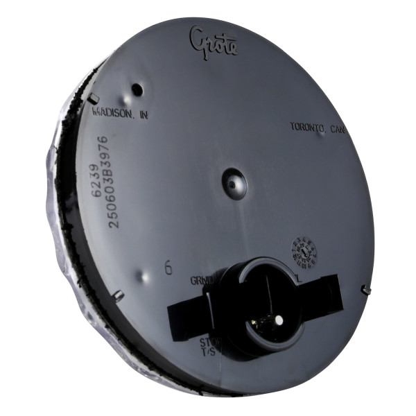 62571-Back